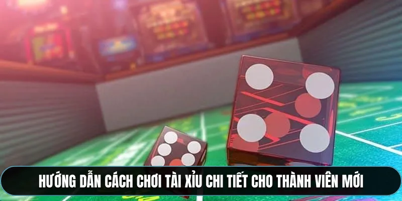 Hướng dẫn cách chơi tài xỉu chi tiết cho thành viên mới