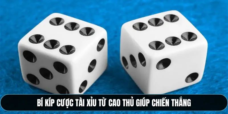Bí kíp cược tài xỉu từ cao thủ giúp chiến thắng