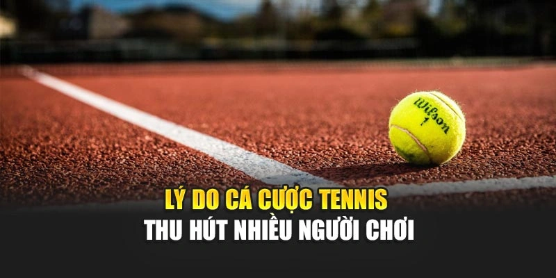 Lý do cá cược Tennis thu hút nhiều người chơi